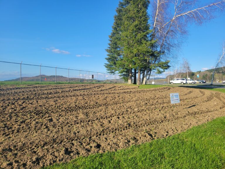 Historic Cemetery & Municipal Airport